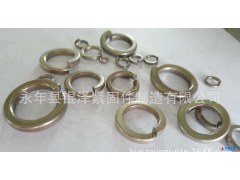 厂家 专业生产不锈钢弹垫材质有304 316等规格有GB/T93等欢迎广大客户来电咨询 量大从优图1