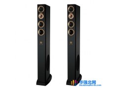 君悦GH-9P组合音响 落地式图1