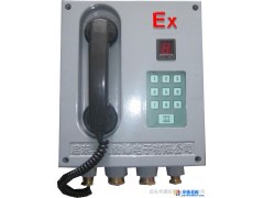 供应华通HWB-1防爆指令电话、防爆电话站、防爆扩音电话图1