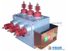 陕西国隆电力ZW10-12G/630手动 带隔离断路器图1