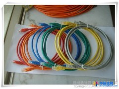供应六类网络跳线、扁平六类网络跳线质量保证价格优惠图1