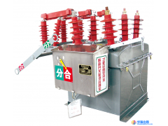一众电气生产供应ZW8-12 户外 10kV 真空断路器 户外真空断路器厂家 户外真空开关厂家  质优价廉 欢迎来电咨询图1