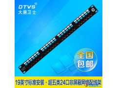 广东汕尾  大唐卫士DT7524 配线架 网络配线架 超五类 24口配线架 综合布线  含税 包邮 增票图1