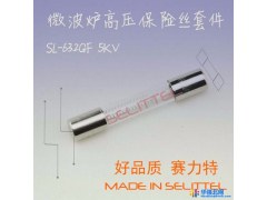 5KV高压  微波炉保险丝管 微波设备保险丝管 熔断精准  TUV认证 赛力特图1