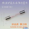 5KV高压  微波炉保险丝管 微波设备保险丝管 熔断精准  TUV认证 赛力特