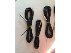 山东现货冷库PT100温度传感器、PT100温度传感器量大从优图1