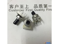 厂供 R121G-F20 半圆塑胶轴电位器 旋转 碳膜电位器 B10K,50K 双联电位器，音响用双声道调音器图1