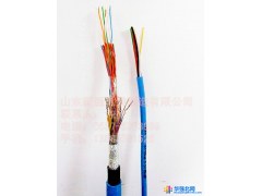 供应邹城市电缆电线电缆厂电源线之家 HYA BVJHH100-通信电缆图1