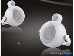 英国 LD LDaudio B03定阻壁挂音箱 15W酒店音箱 餐厅音响 一对图1