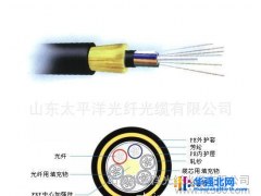 【太平洋】ADSS 电力光缆 室外光缆 光纤光缆 厂家直销图1