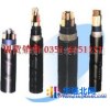 供应太原矿用电力电缆津成 万博YJV YJLV太原电力电缆矿用高压电缆山西销售