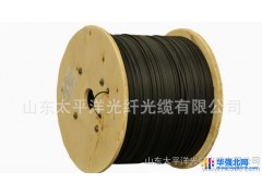 山东太平洋光缆 室内皮线光缆 厂家直销 GJXH-1B6A2 皮线光缆图1
