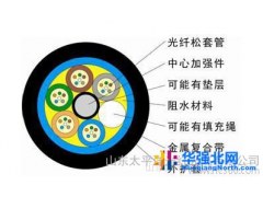 太平洋光缆【GYFTZA】【非金属】【阻燃】光缆 厂家直销 opgw图1