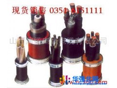 供应太原煤矿用阻燃通讯电缆MHYVR库存销售批发价格图1