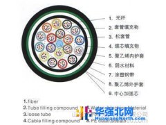 【太平洋】 【GYTY53】光缆【阻燃 防蚁 防鼠 光缆】厂家 室外图1