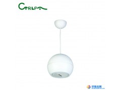 肯卓 CTRLPA 正品 CL953 吊顶喇叭 天花扬声器 天花喇叭 公共广播系统 吊挂音箱图1