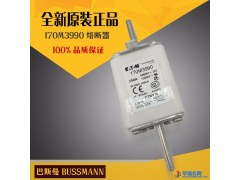 美国巴斯曼170M3122 170M3123 熔断器保险丝图1