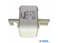 美国巴斯曼170M6010 170M6011 熔断器保险丝图1