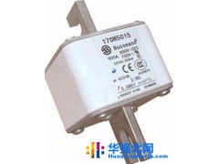 美国巴斯曼170M5016 170M5017 熔断器保险丝图1