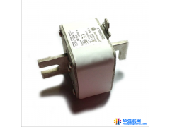 美国巴斯曼170M3108 170M3109 熔断器保险丝图1