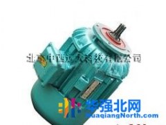 zg锥形电机/锥型转子制动三相异步电动机 ZDM ZD ZDY系列 型号:ZDMI21-4图1