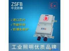 中沈防爆BDZ58 隔爆型漏电断路器BDZ58-32/3LBDZ58-63/3L厂家直销图1